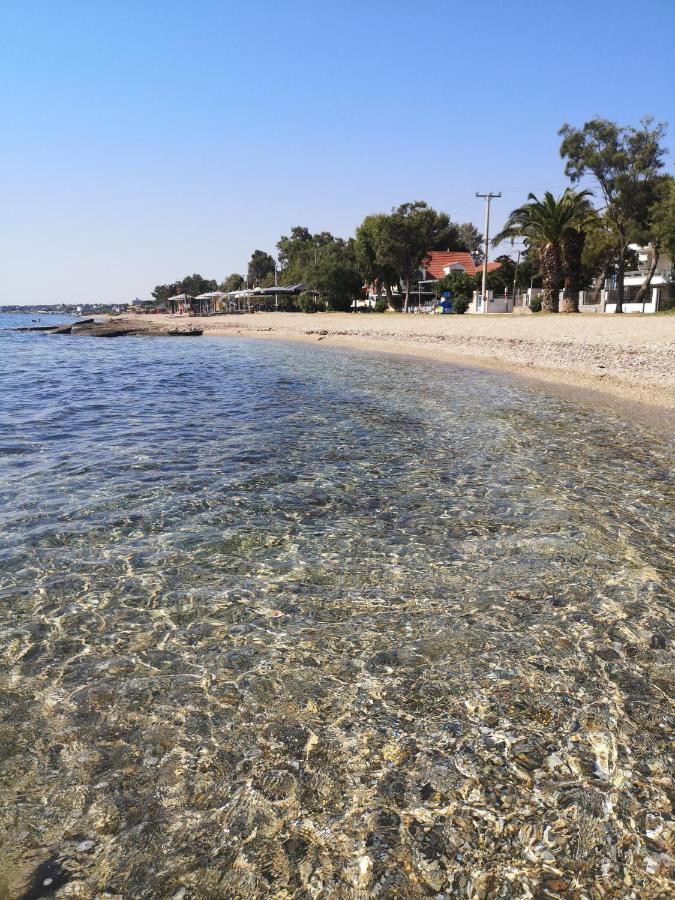 Aegean Sea Home Néa Mákri Exteriér fotografie
